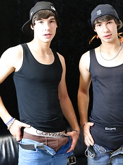 We have Aston twins and they are cute as a button